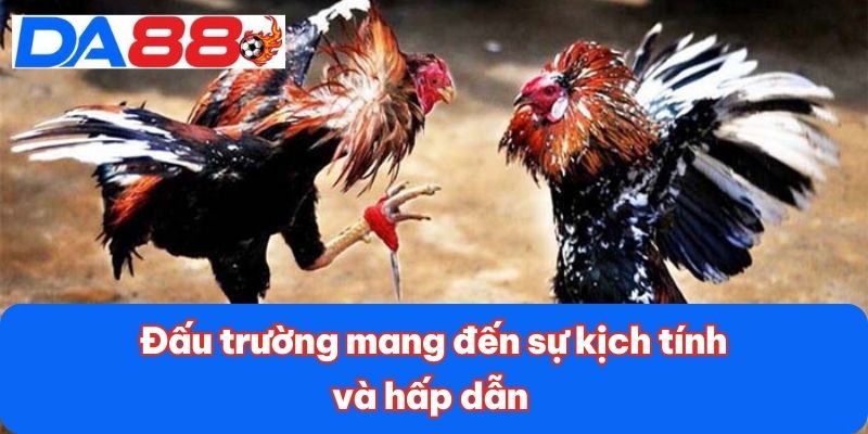 Đấu trường mang đến sự kịch tính và hấp dẫn